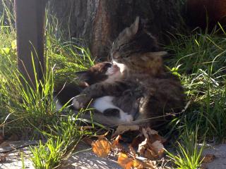 08082011453-1.jpg