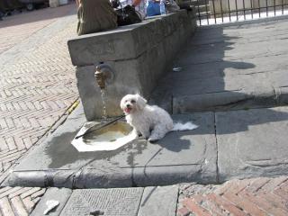 Img_0826.jpg