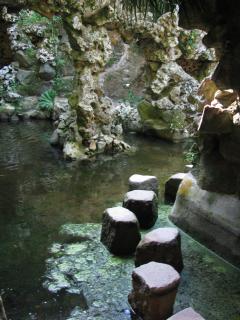 IMG_8344.jpg