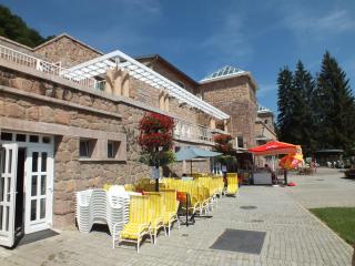 DSCF2324.jpg