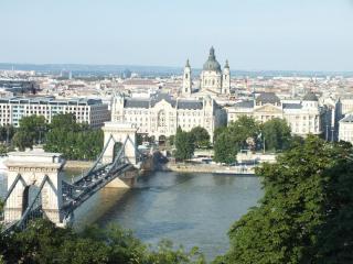DSCF2461.jpg