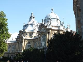DSCF2391.jpg