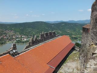 DSCF2648.jpg