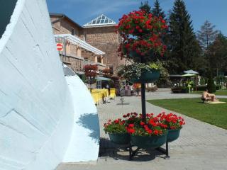 DSCF2321.jpg