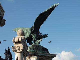 DSCF2460.jpg
