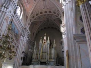 IMG_3766.jpg