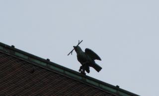 IMG_5040.JPG