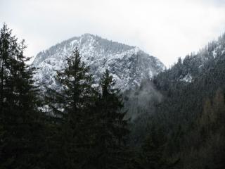 IMG_5392.JPG