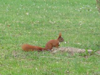 IMG_4054.JPG