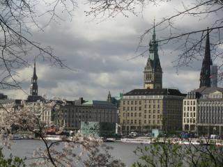 IMG_4331.JPG