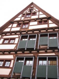 IMG_5062.JPG
