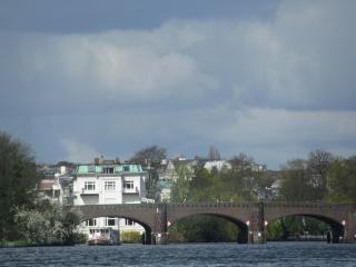 IMG_4425.JPG