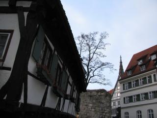 IMG_5082.JPG