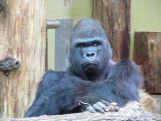 IMG_4207.JPG