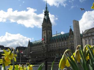 IMG_4398.JPG