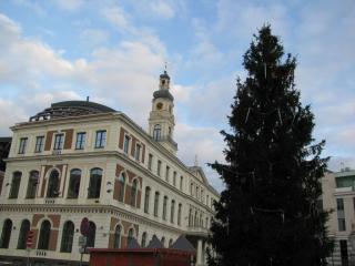 IMG_3115.jpg