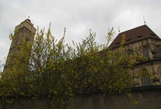 IMG_5584.JPG