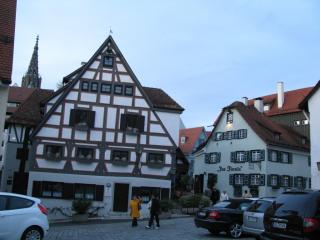 IMG_5098.JPG