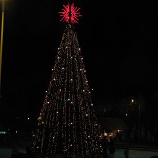 IMG_3866.jpg