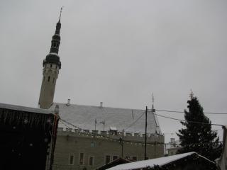 IMG_3494.jpg