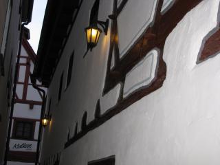 IMG_5113.JPG