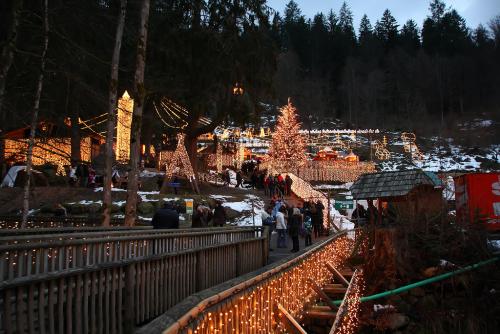 Триберг зимой.jpg