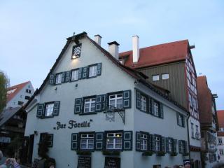 IMG_5090.JPG