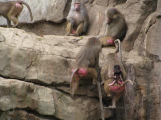 IMG_4194.JPG