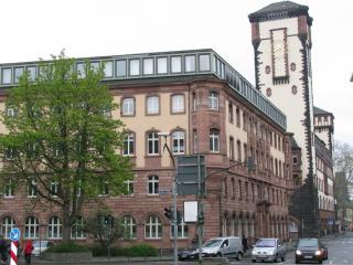IMG_4853.JPG