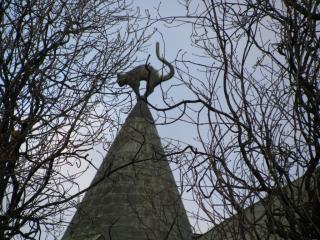 IMG_3164.jpg