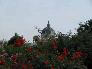 IMG_7414.JPG