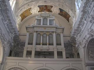 IMG_3009.jpg