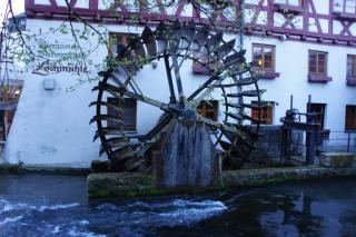 IMG_5116.1JPG.JPG