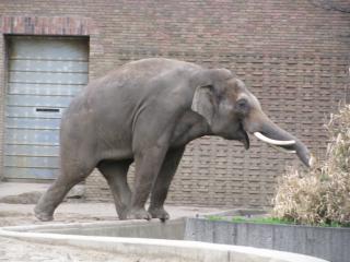 IMG_2252.JPG