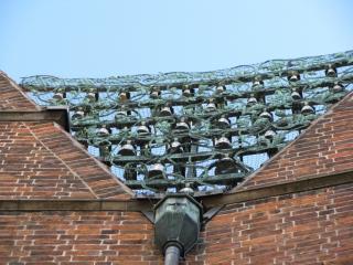 IMG_4470.JPG