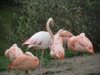 IMG_4177.JPG