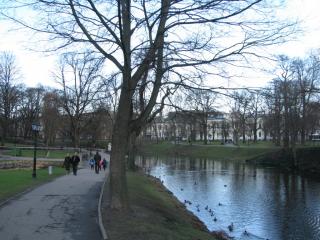 IMG_3246.jpg