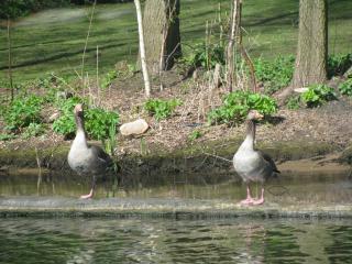 IMG_4435.JPG