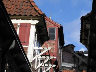 IMG_4356.JPG