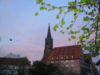 IMG_5124.JPG