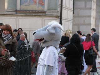 IMG_4018.JPG