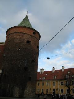 IMG_3173.jpg