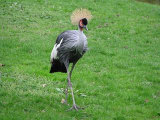 IMG_4258.JPG