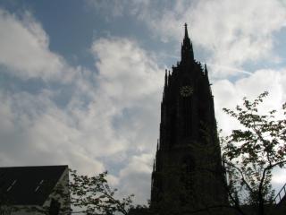IMG_4884.JPG