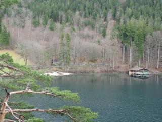 IMG_5467.JPG