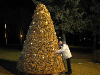 IMG_3358.jpg