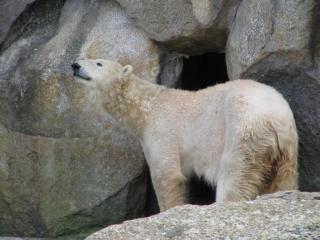 IMG_4276.JPG