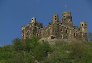 IMG_4770.JPG