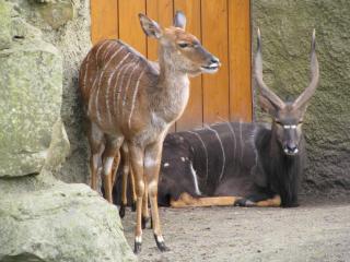 IMG_4289.JPG