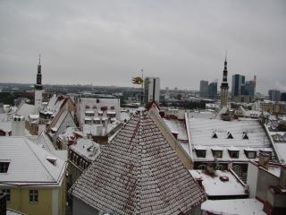 IMG_3457.jpg